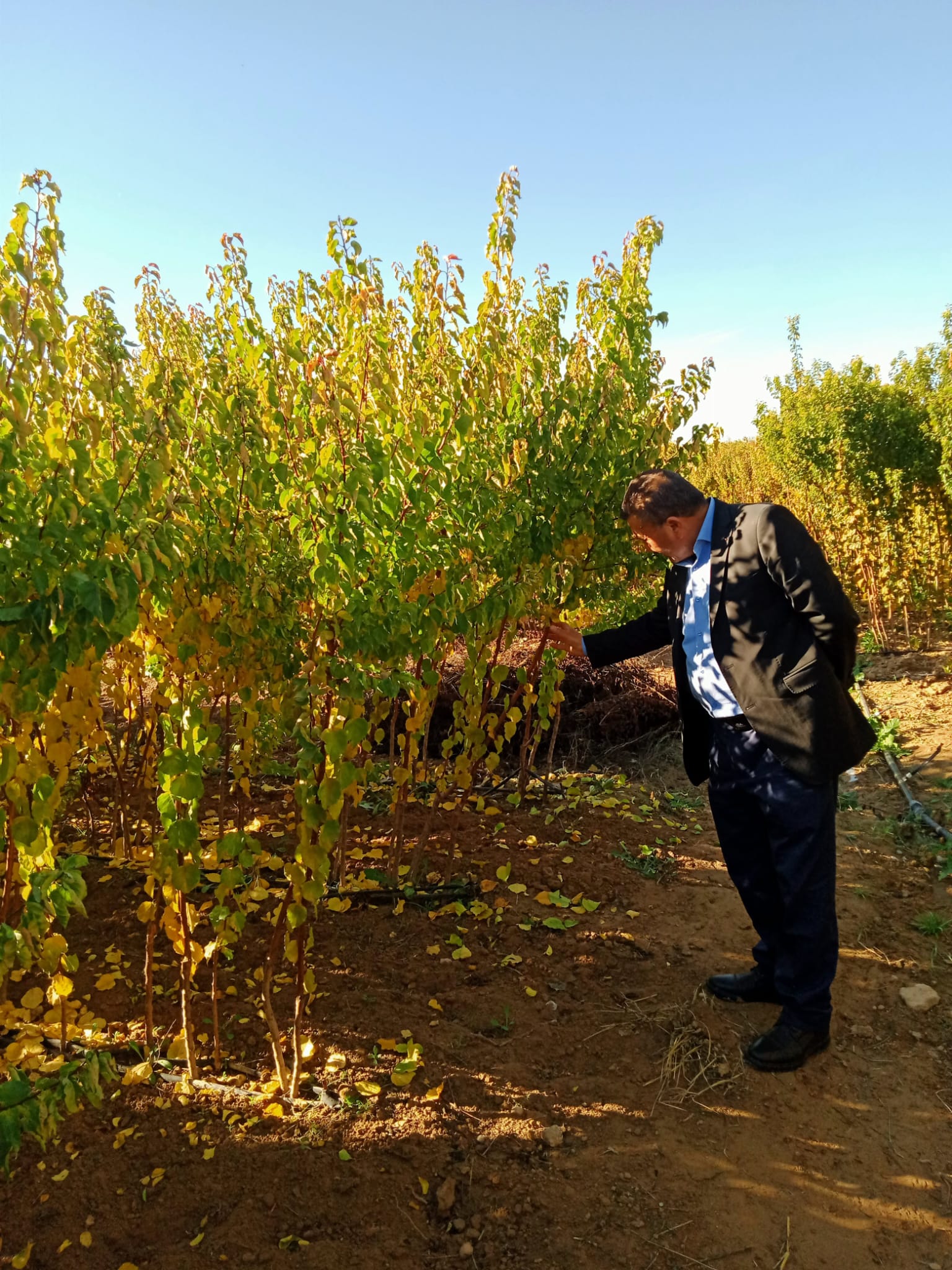 Müşteri Memnuniyeti