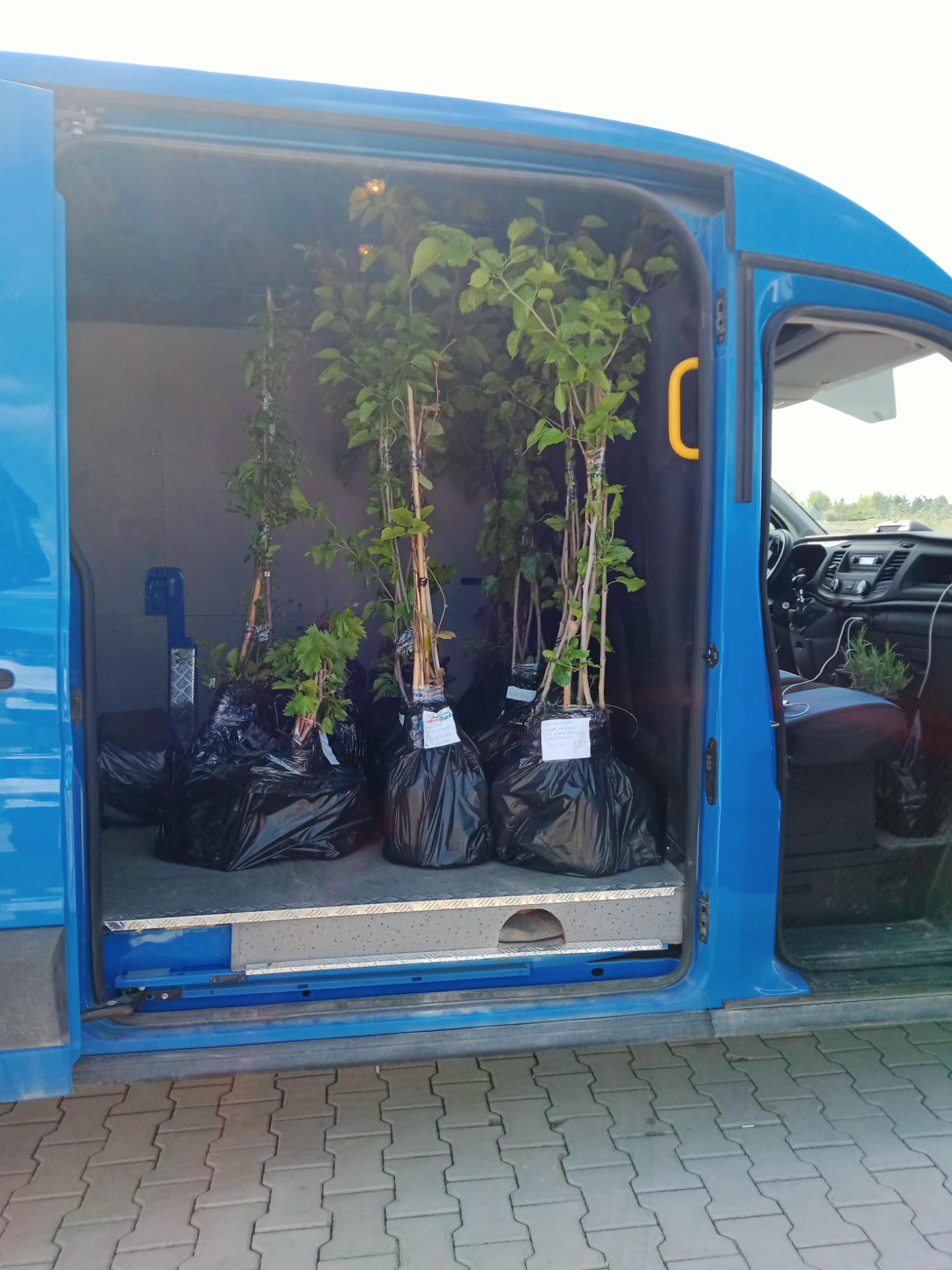 Tüm Türkiye'ye Kargo Hizmeti